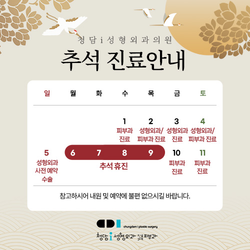 진료일정