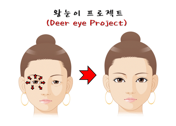 chungdami_eye_deer eye project
